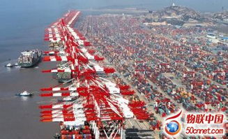 上海自贸区试点电梯预警技术 思维监管与新兴能源技术融合